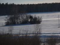 Почуял весну