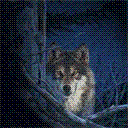 8656.gif