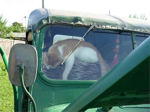 устал