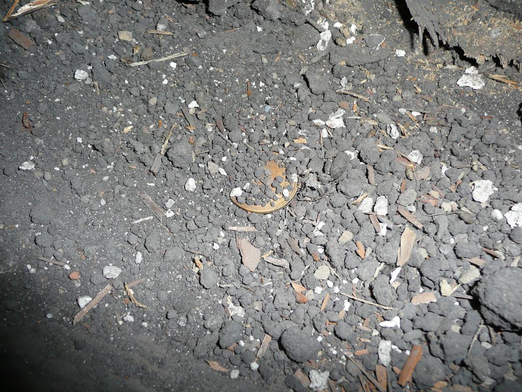 P1050044