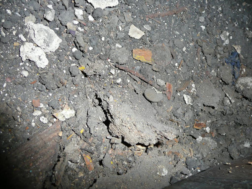 P1050047
