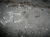 P1050049