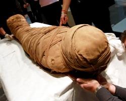 В Германии мальчик нашел на чердаке дома древнеегипетскую мумию