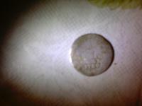 IMG00175