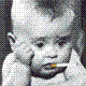 7233.gif