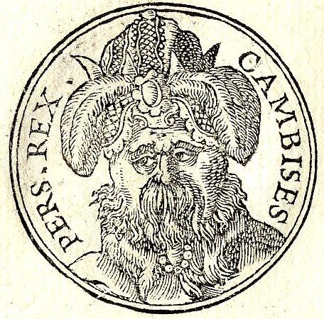 Cambisena