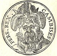 Cambisena