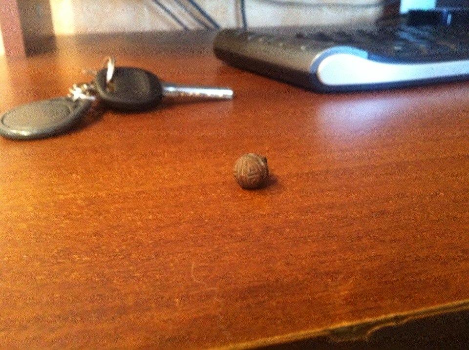 нечто с ушком