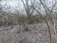 Неизвестно