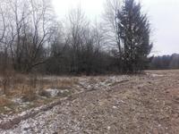 Неизвестно