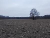 Неизвестно