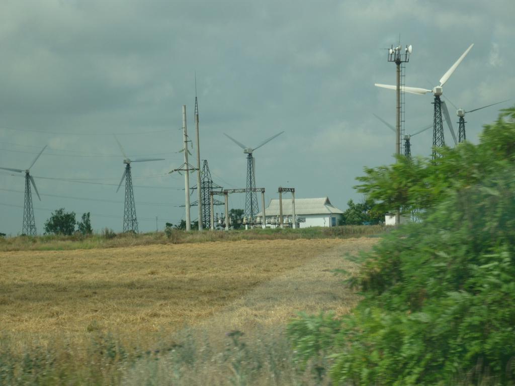 P1010669