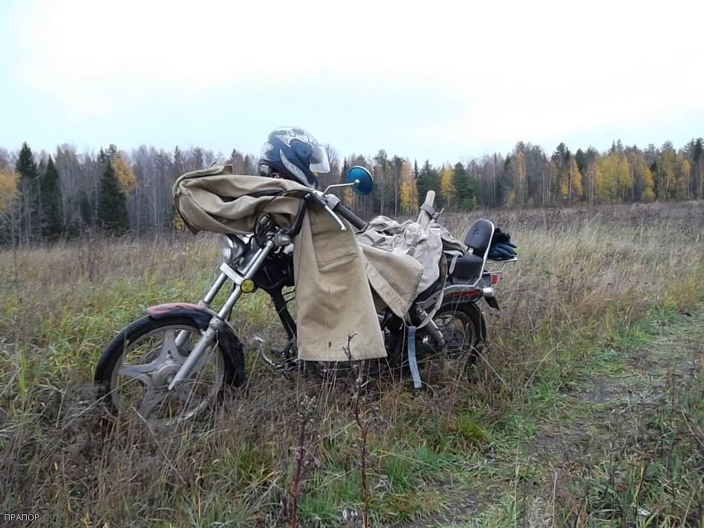 ор