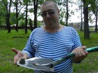 коп 2016