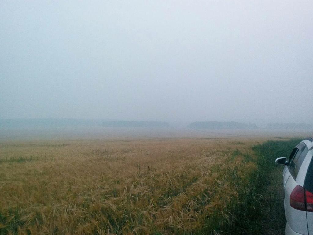 русское поле