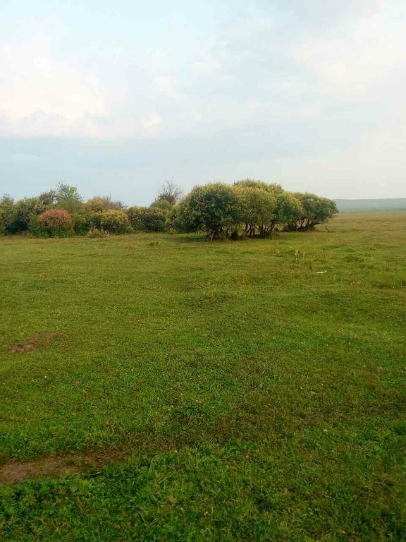 бурятские степи