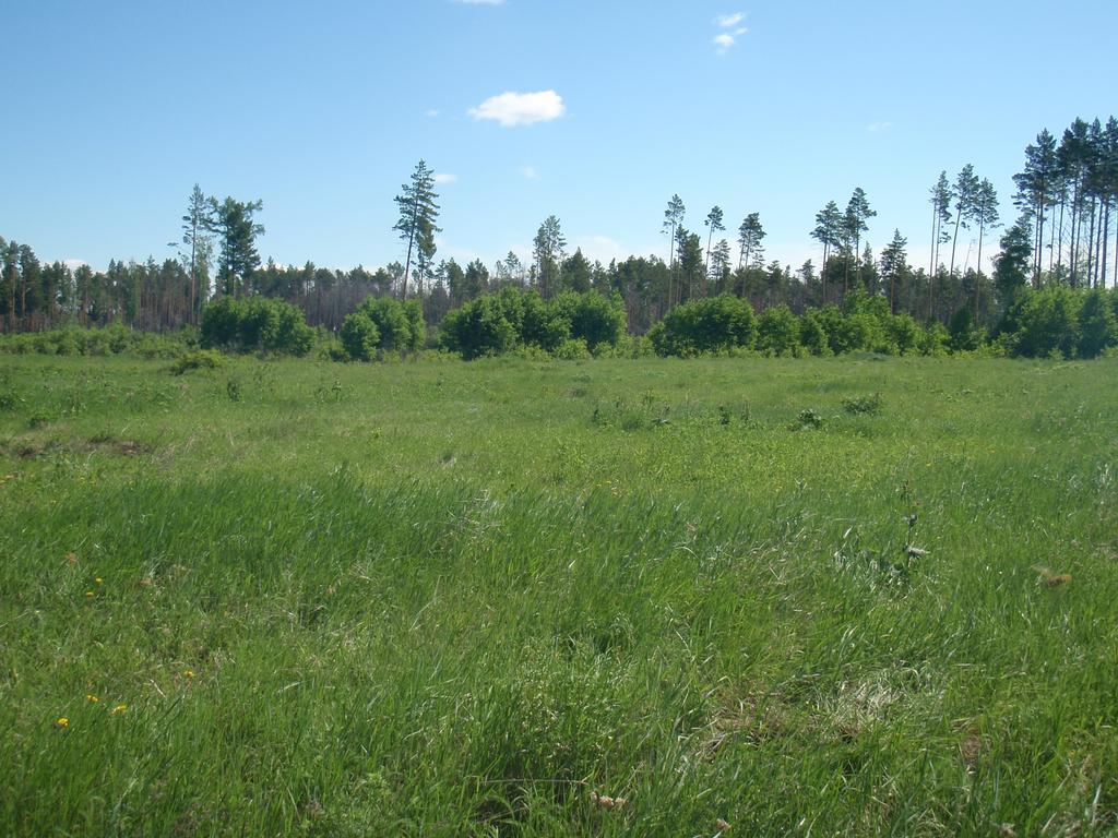 Начало сезона 2018 г 