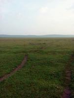 бурятские степи