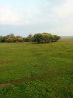 бурятские степи