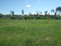 Начало сезона 2018 г 