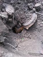 Кладуха этого сезона!!!!! (без ценны только воспоминания)