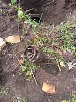 Кладуха этого сезона!!!!! (без ценны только воспоминания)