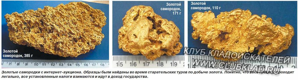 Золотые самородки с интернет-аукциона. Образцы были найдены во время старательских туров по добыче золота. Понятно, что весь процесс проходит легально, все установленные налоги взимаются и идут в доход государства.