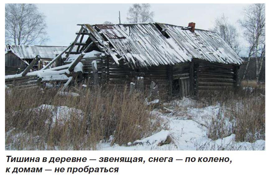 Тишина в деревне — звенящая, снега — по колено, к домам — не пробраться