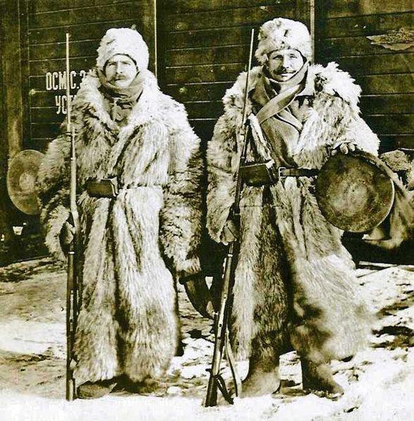 Сибирские казаки
