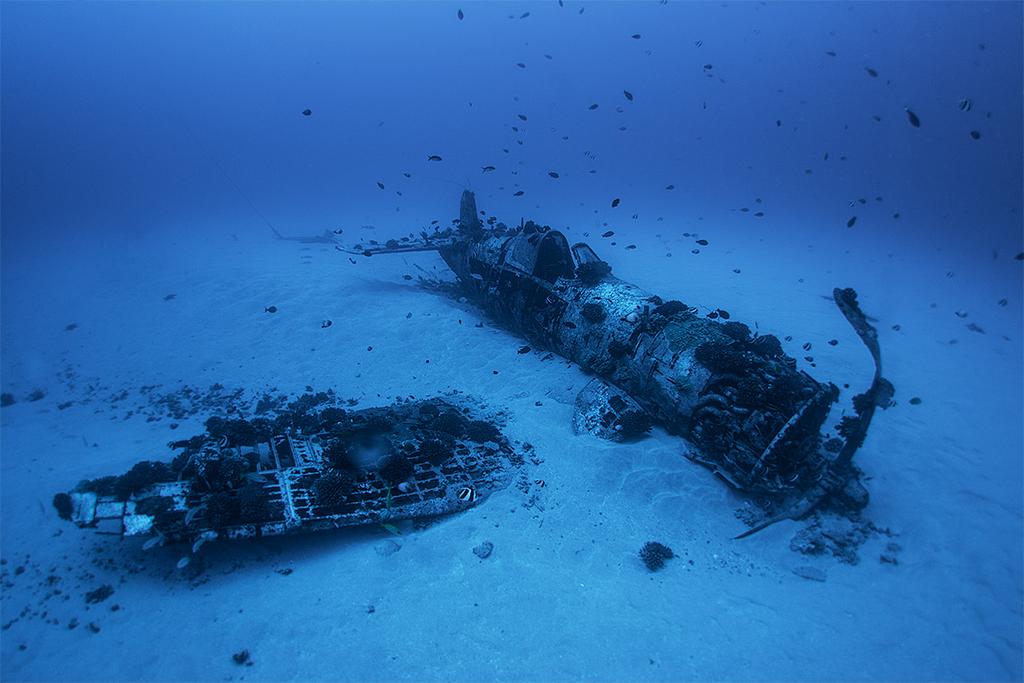 8. С 1947 года на морском дне лежит американский палубный истребитель F-4 Corsair. Его пилот ещё жив спустя 65 лет.