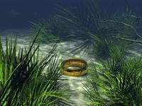 кольцо под водой