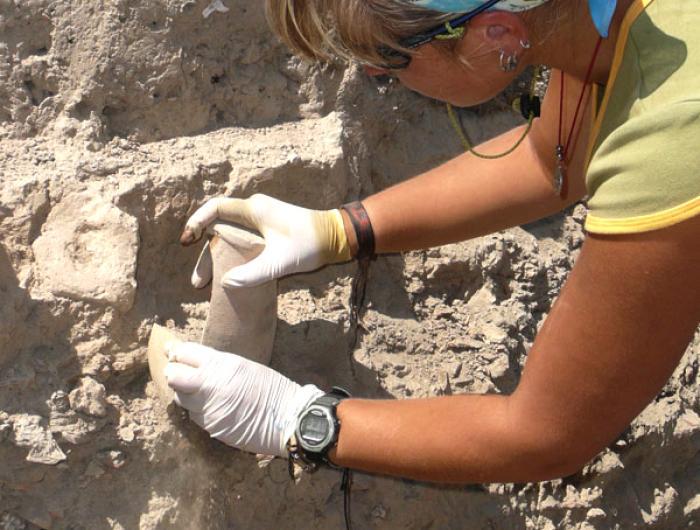 Шведская учёная, которая нашла каменный фалос во время раскопок