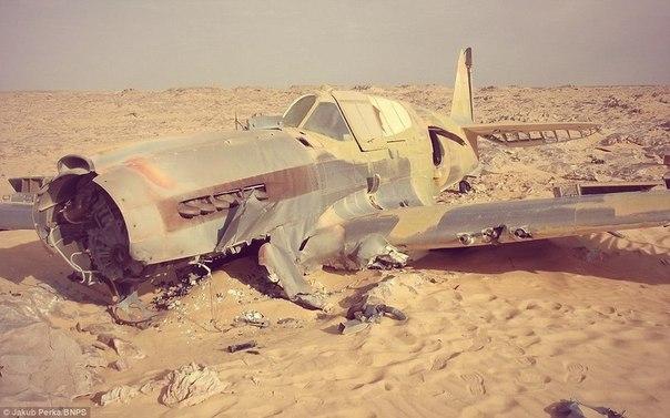 В пустыне Сахара нашли британский истребитель Р-40 “Киттихоук” времен Второй мировой войны фото 8
