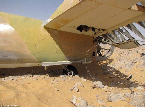 В пустыне Сахара нашли британский истребитель Р-40 “Киттихоук” времен Второй мировой войны фото 7