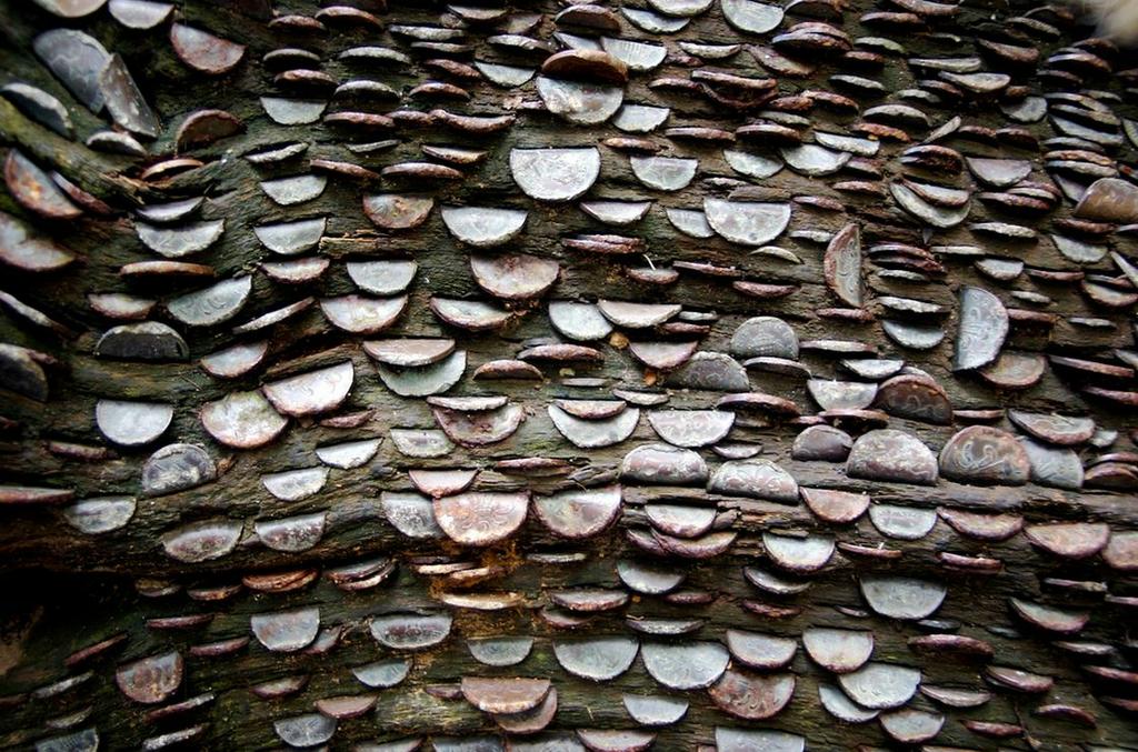 монетное дерево