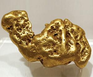 Золотой самородок «Верблюд», вес 9288,2 г