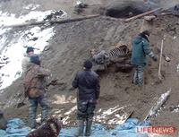 В конце 90-х годов море много диковинок редкостных на берег выбрасывало волной прибойной: то горшки древние десятками вымоет, то монеты позеленевшие, то кости громадные, необычные.