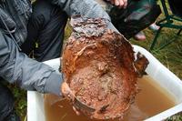 Шлем. Рыцарские доспехи возрастом в 600 лет обнаружены в реке Вихра