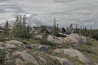 5. Этот Curtiss C-46 Commando по прозвищу Мисс Пигги (поскольку в него влезало много груза и однажды он перевозил свиней) совершил аварийную посадку вскоре после взлёта из аэропорта Черчилль в центральной Канаде. Причина аварии - отказ первого двигат