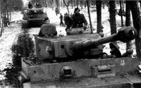 Тигры 2-й дивизии СС "Дас Райх" на марше в лесу под Кировоградом