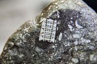 Камень с видимым вкраплением микросхем. Возраст камня 450 млн.лет