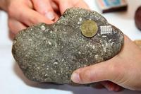 Камень с видимым вкраплением микросхем. Возраст камня 450 млн.лет