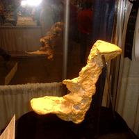 Золотой самородок Сапог Кортеза  (Boot of Cortez) массой 12,1 кг. В январе 2008 он был продан на аукционе за $1.553.500.