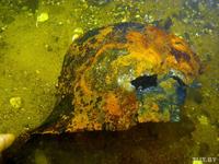 Шлем. Рыцарские доспехи возрастом в 600 лет обнаружены в реке Вихра