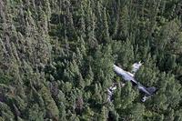 6. 29 сентября 1977 года этот Curtiss C-46 Commando выполняя грузовой рейс из аэропорта Томпсон (Канада) совершил аварийную посадку в лес при неудачной попытке вернуться в аэропорт вылета с отказавшим двигателем из-за утечки топлива. Оба пилоты выжил