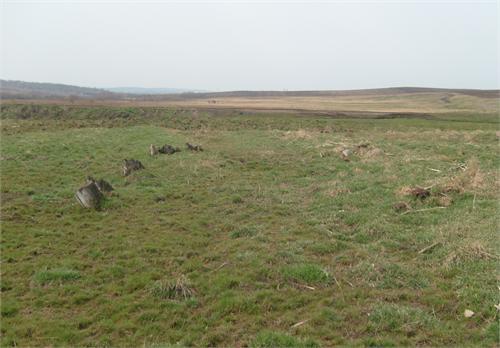204.jpg