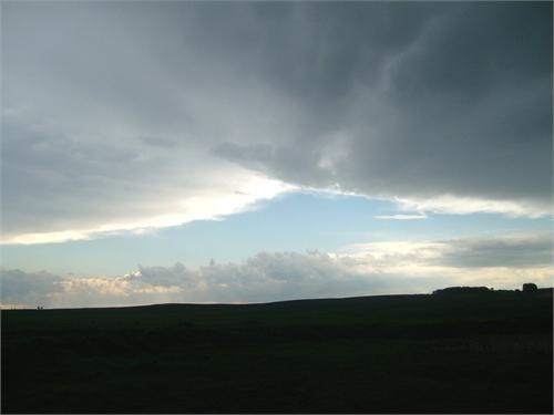 Красотища. После дождичка.