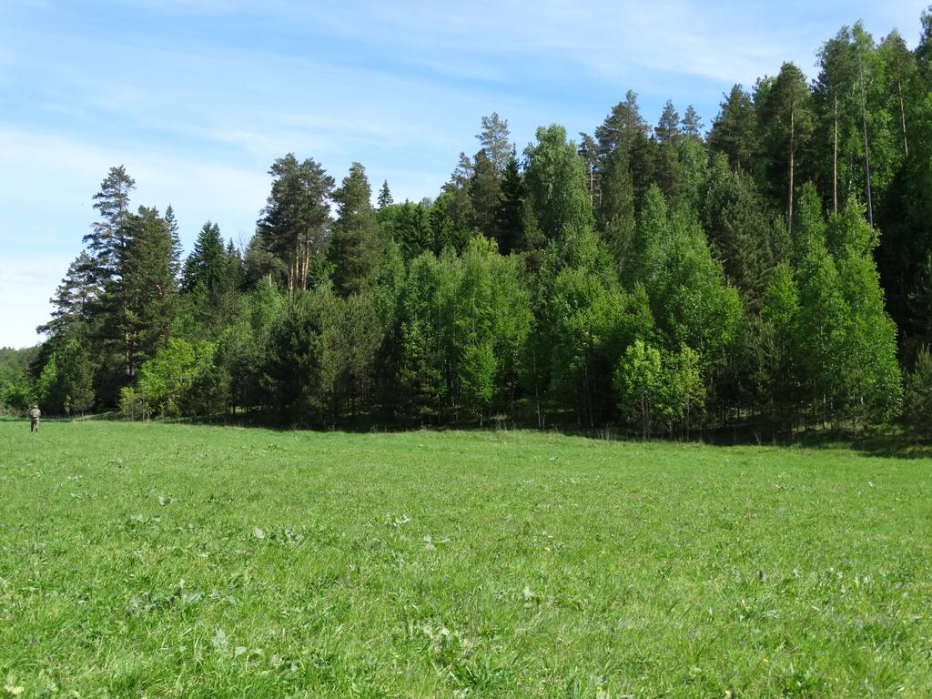 Ислейтарское лесничество