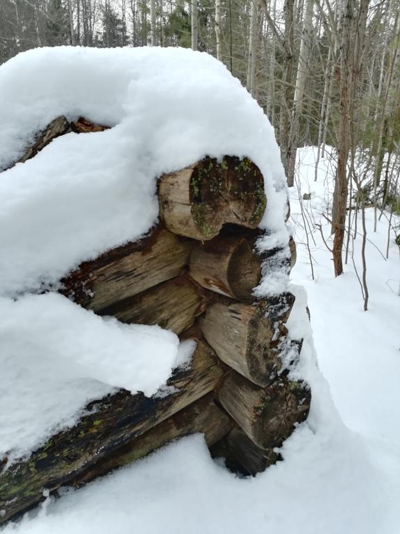 Старинная пасека