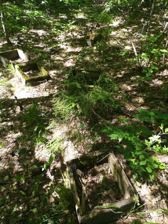 Старинная пасека.Вернулись летом,пчелиные ульи 